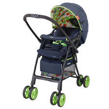 ヘリアンタス NV