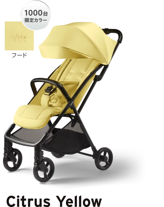 citrus yellow シトラスイエロー YE